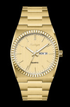 ROKYN Men's Stainless Steel Quartz Business Watch – Day & Date