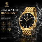 Rokyn Timeless Elegance Gold Men's Watch